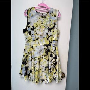 Bar III cute mini Dress.